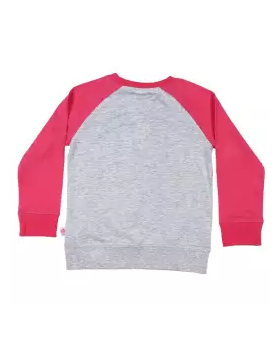 Light Gray and Pink Cotton Long Sleeve T-shirt For Boys