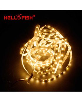 5M 15Feet LED Strip Lighting Kit With 44 Key Remote Controller