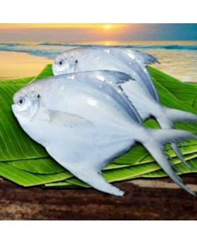 Pomfret fish (Rupchanda) 1 KG