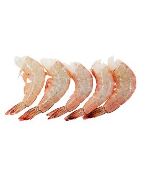 Salmon Fish Fillet 1 kg